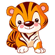Tiger obraz zs5939